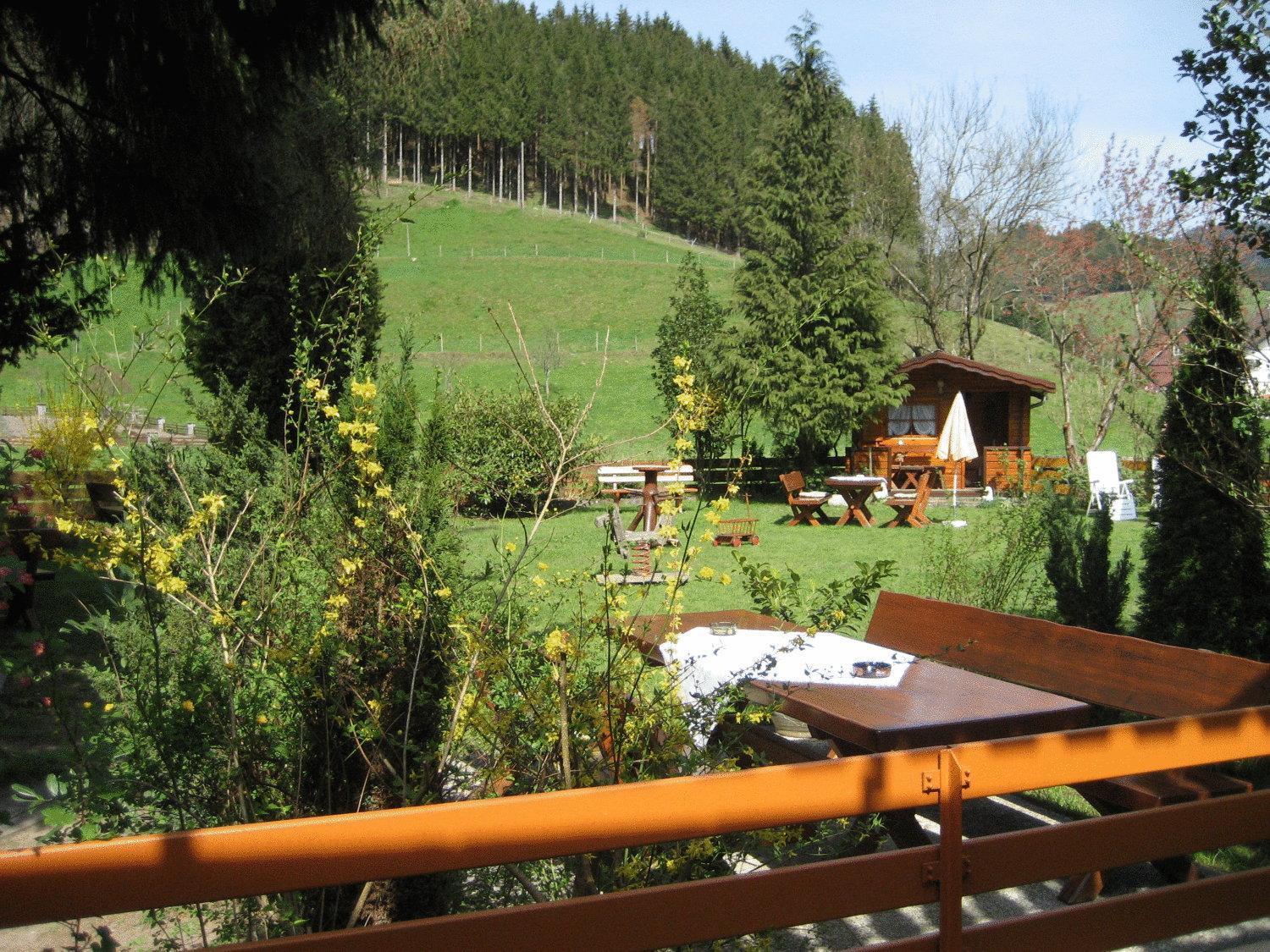 Hotel Restaurant Albans Sonne Bad Rippoldsau-Schapbach エクステリア 写真